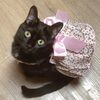 pinkygirl3